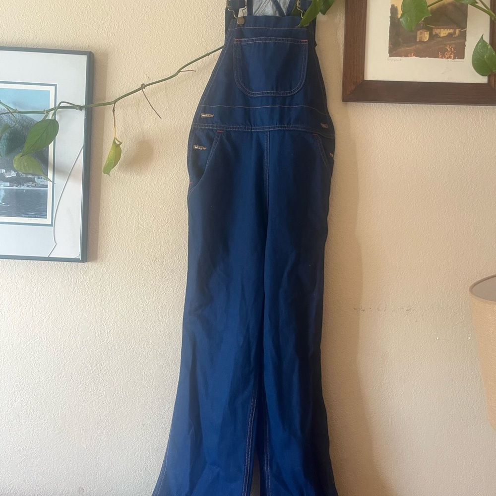 Christy Dawn Billy Overalls - Picture 4 of 5